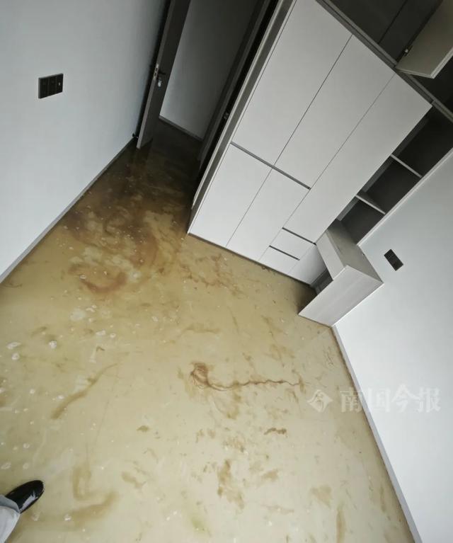 崩溃：全屋都是无法接受婚房被粪水浸泡！业