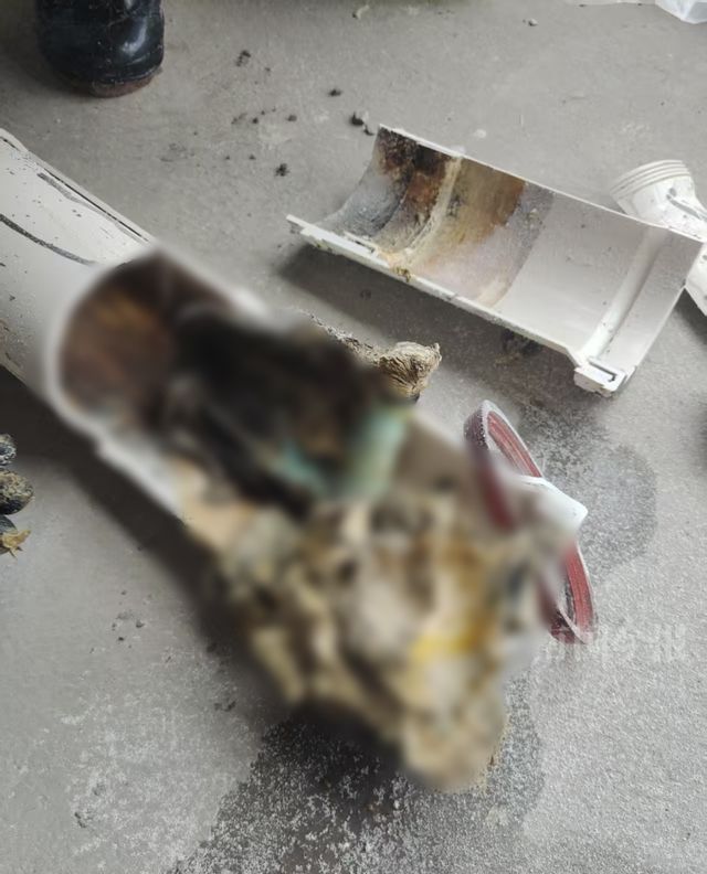 崩溃：全屋都是无法接受婚房被粪水浸泡！业主(图3)