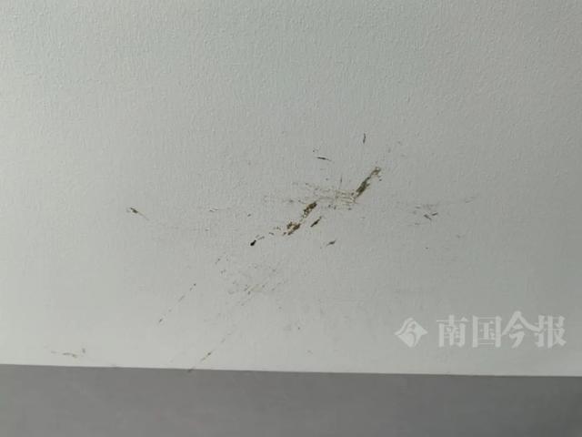 崩溃：全屋都是无法接受婚房被粪水浸泡！业主(图7)