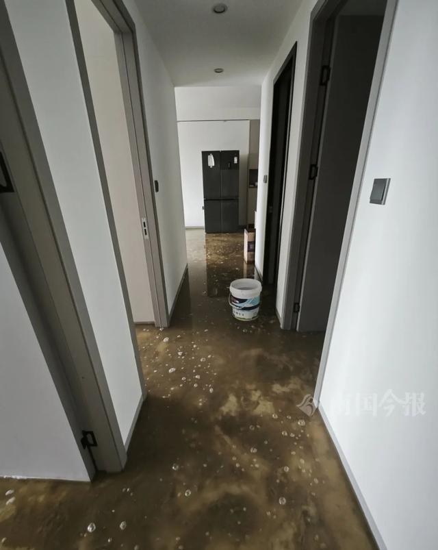 崩溃：全屋都是无法接受婚房被粪水浸泡！业主(图6)
