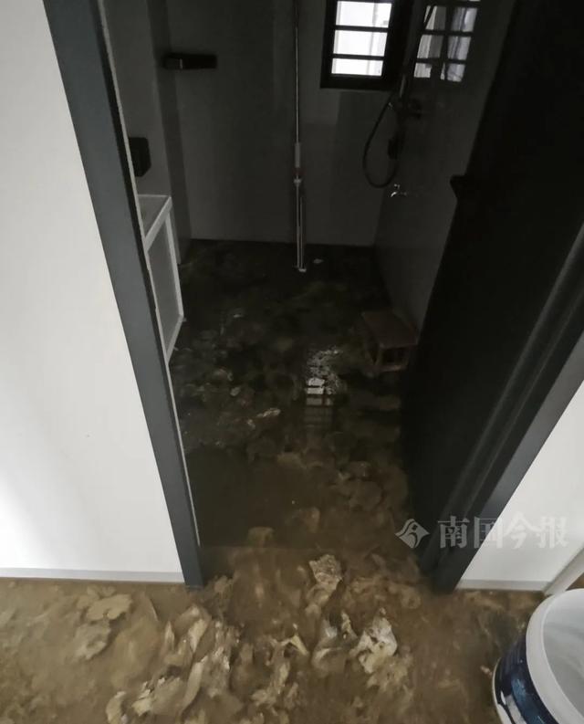崩溃：全屋都是无法接受婚房被粪水浸泡！业主(图11)